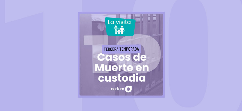 En texto: Casos de muerte en custodia