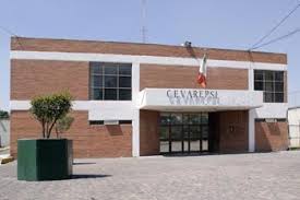 CEVAREPSI